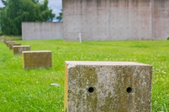 Natur trifft Mensch (c) Detlef Buxmann