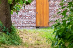Natur trifft Mensch (c) Detlef Buxmann