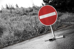 Natur trifft Mensch (c) Detlef Buxmann