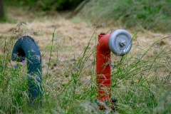 Natur trifft Mensch (c) Detlef Buxmann