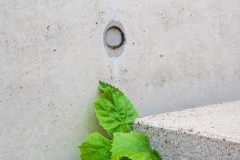 Natur trifft Mensch (c) Detlef Buxmann