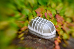 Natur trifft Mensch (c) Detlef Buxmann