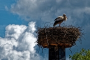 Natur trifft Mensch (c) Peter Taubert