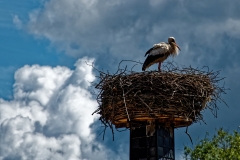Natur trifft Mensch (c) Peter Taubert