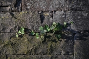 Natur trifft Mensch (c) Ulrike Kaulfuß