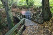 Wildpark Neandertal