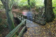 Wildpark Neandertal