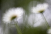 Nordpark, Wuppertal
