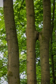 Nordpark, Wuppertal