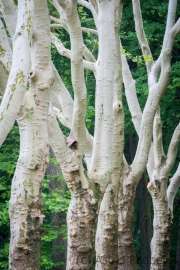 Nordpark, Wuppertal