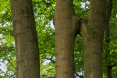Nordpark, Wuppertal