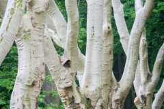 Nordpark, Wuppertal