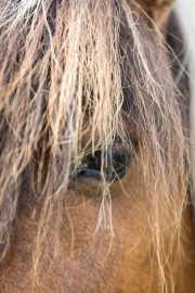 Augenwischer gesucht (c) Astrid Padberg