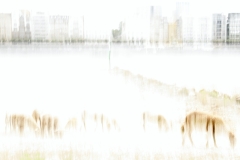 Großstadtschafe (c) Andrea Hermann