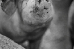 Die Freiheit! (c) Ina Herzig