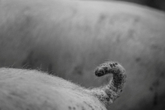 Das Ende! (c) Ina Herzig