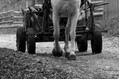 1 PS (c) Hans Peter Eckstein