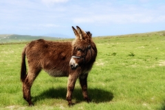 Rückblick (c) Hans Georg Bein