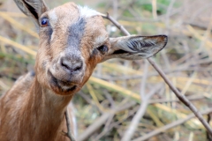 Kennen wir uns? (c) Hans Georg Bein