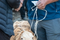 Besiegelt (c) Astrid Padberg