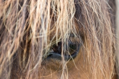 Augenwischer gesucht (c) Astrid Padberg