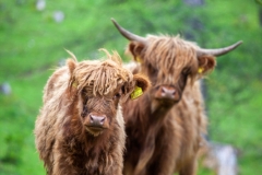 Spaziergang (c) Astrid Padberg