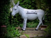 Esel (c) Detlef Buxmann