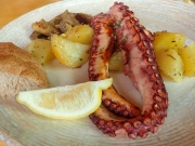 Oktupus (c) Hans Peter Eckstein