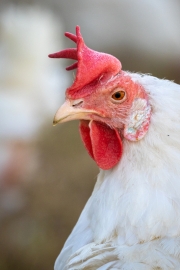 Portrait (c) Astrid Padberg