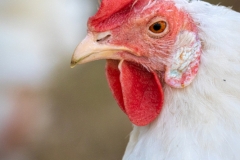 Portrait (c) Astrid Padberg