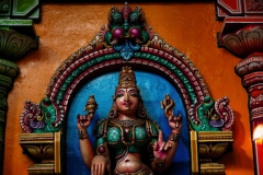 orange (c) Peter Taubert