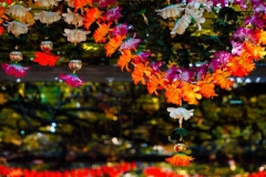 orange (c) Peter Taubert