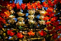 orange (c) Peter Taubert