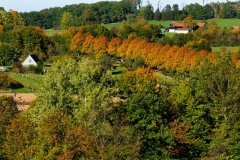 orange (c) Peter Taubert