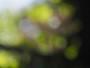 Out of Focus