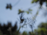 Out of Focus