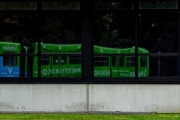 Grün (c) Peter Taubert