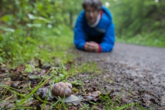 Porträt einer Weinbergschnecke, erste Annäherung