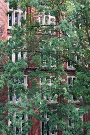 Nordbahntrasse, Frohwein