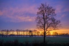 Rieselfelder (c) Detlef Buxmann