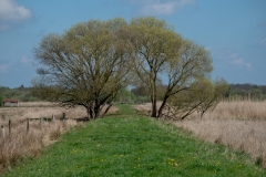 Rieselfelder (c) Detlef Buxmann