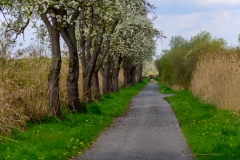 Rieselfelder (c) Detlef Buxmann