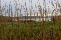 Rieselfelder  (c) Hans Peter Eckstein