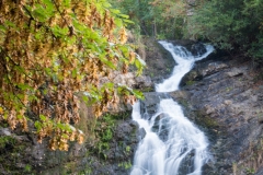 Elzbachfall
