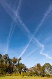 Am Waldrand, Elzbach