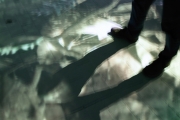 Schattenspiel (c) Andrea Hermann