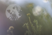 Schattenspiel (c) Andrea Hermann