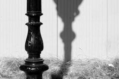 Schattenspiel (c) Astrid Padberg