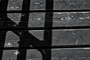 Schattenspiel (c) Peter Taubert