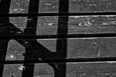 Schattenspiel (c) Peter Taubert